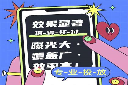 案例解读：网络推广与竞价策略